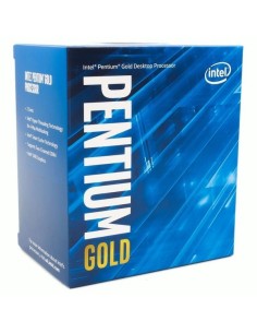 Intel Pentium Gold G6405 4.1 GHz en TXETXUSOFT